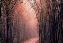 西北大區總決賽激情一觸即發 冠亞爭奪讓人忍俊不禁 天元錳業成就了自己的偉大時刻.