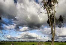 西甲第11輪巴列卡諾1-0巴塞羅那 德佩罰失點球法爾考反擊破門.